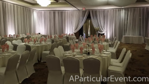 Wedding-Decoration-Backdrop-Ceiling-Draping-Arch-Column