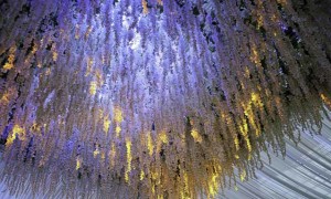Wedding-Decoration-Backdrop-Ceiling-Draping-Arch-Columns